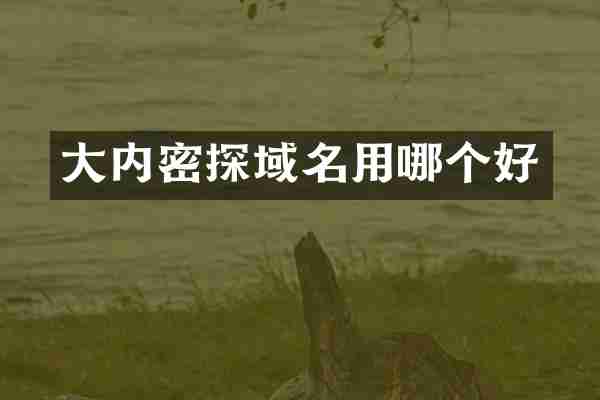 大内密探域名用哪个好