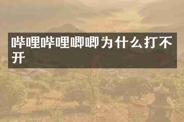 哔哩哔哩唧唧为什么打不开