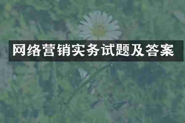 网络营销实务试题及答案