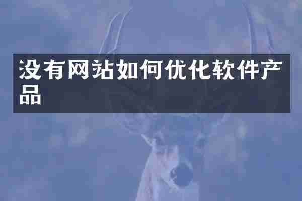 没有网站如何优化软件产品