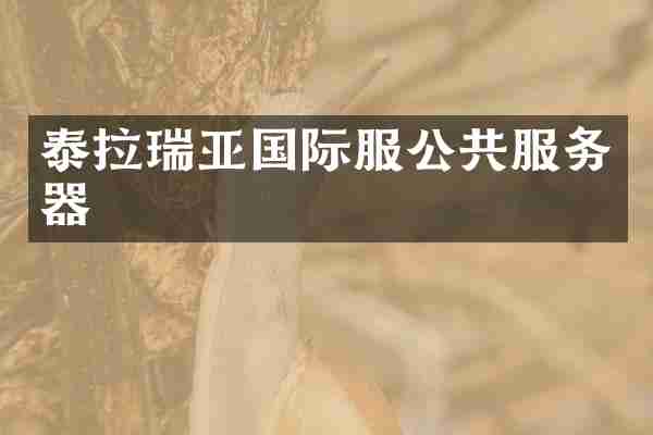 泰拉瑞亚国际服公共服务器