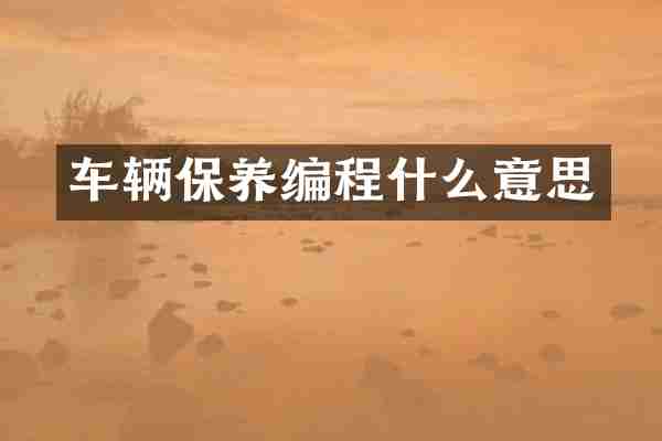 车辆保养编程什么意思