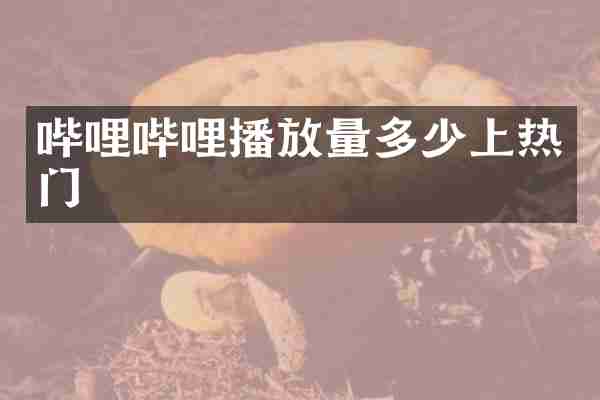 哔哩哔哩播放量多少上热门