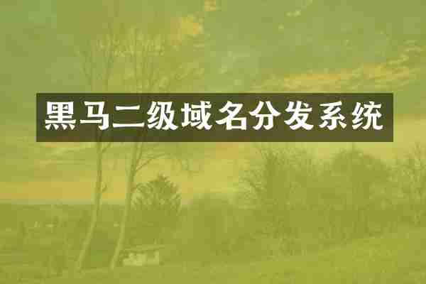 黑马二级域名分发系统