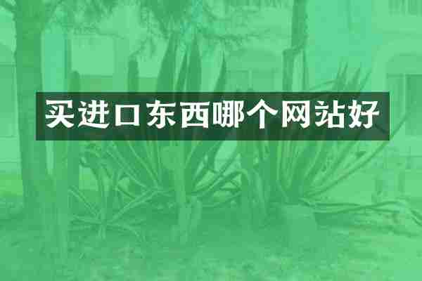 买进口东西哪个网站好