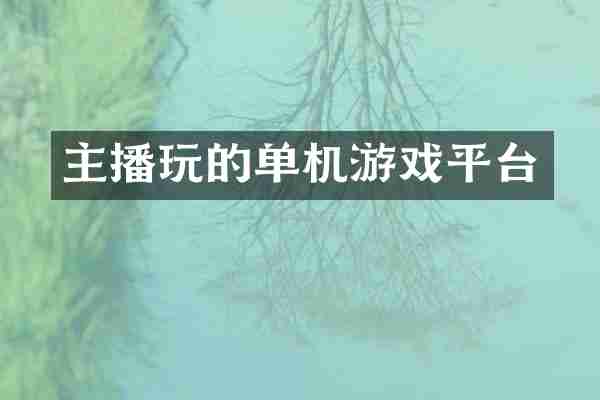 主播玩的单机游戏平台