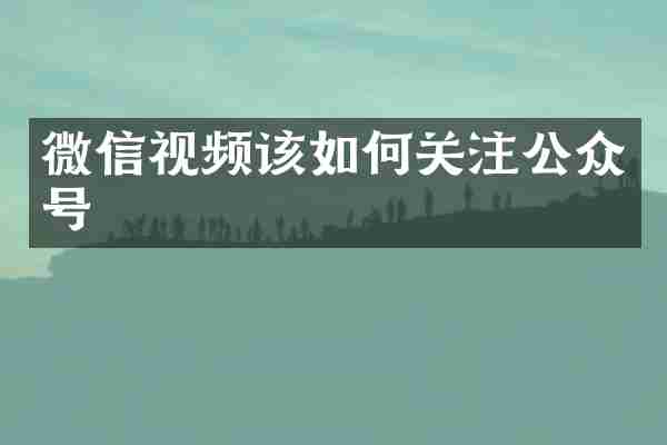 微信视频该如何关注公众号