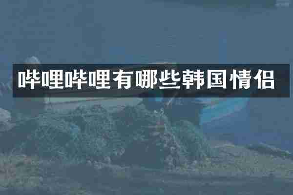 哔哩哔哩有哪些韩国情侣