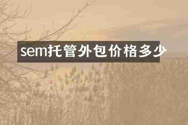 sem托管外包价格多少