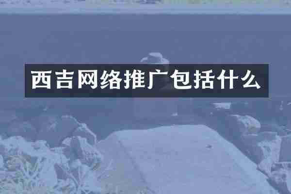 西吉网络推广包括什么