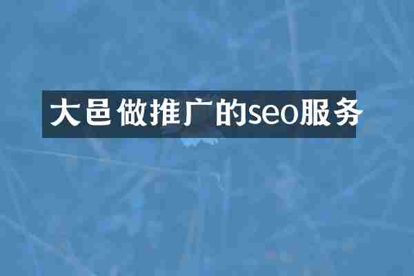 大邑做推广的seo服务