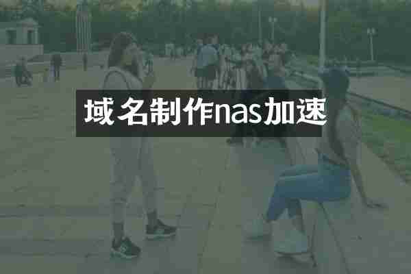 域名制作nas加速