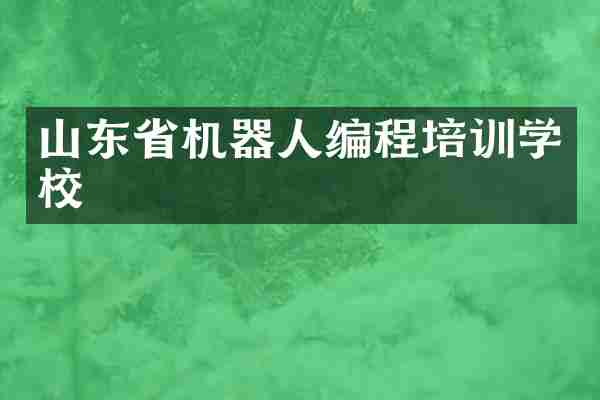 山东省机器人编程培训学校
