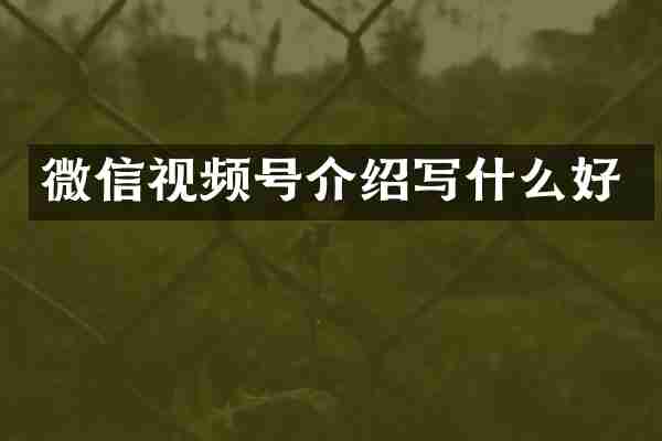 微信视频号介绍写什么好