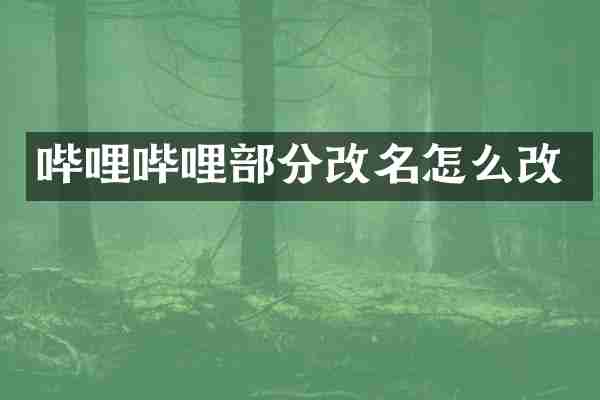 哔哩哔哩部分改名怎么改
