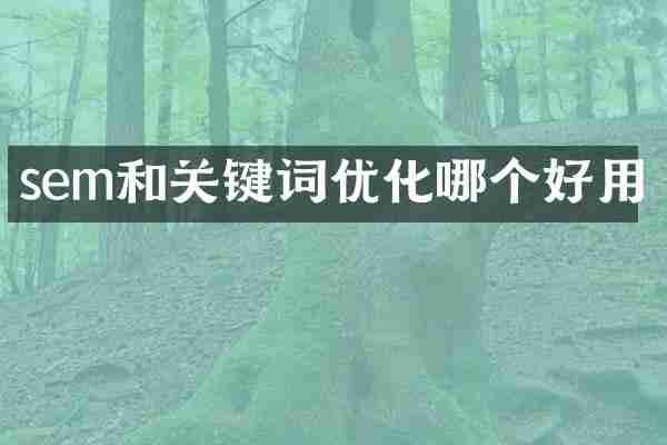 sem和关键词优化哪个好用
