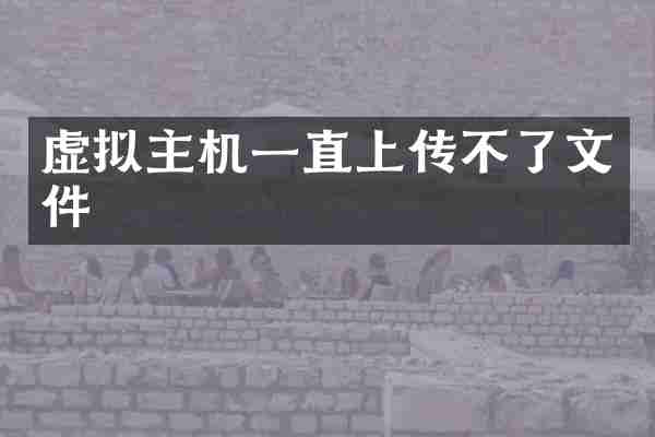 虚拟主机一直上传不了文件