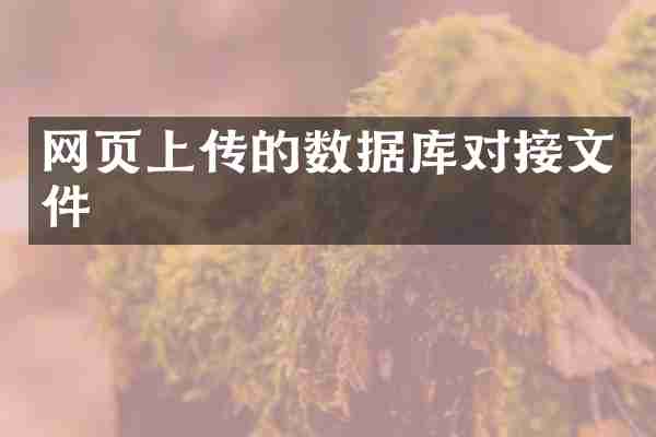 网页上传的数据库对接文件