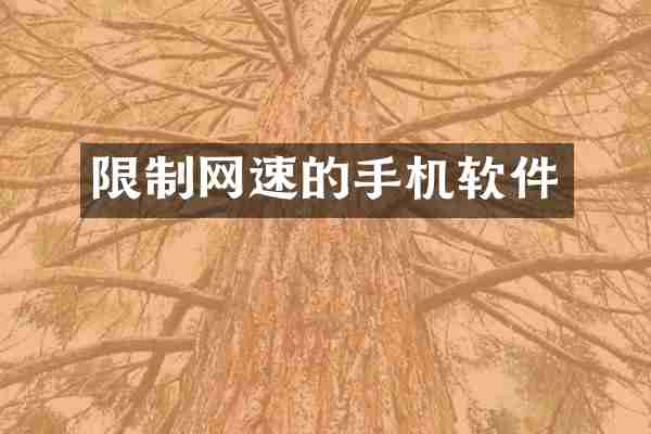 限制网速的手机软件