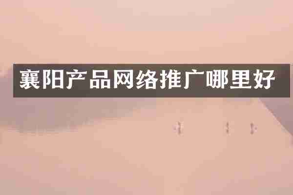 襄阳产品网络推广哪里好