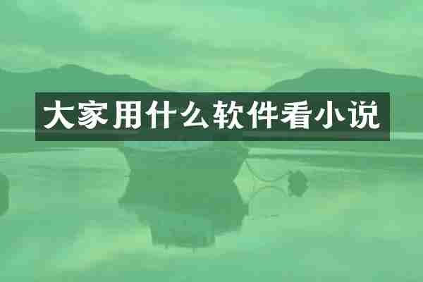 大家用什么软件看小说