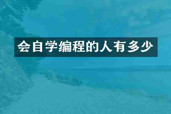 会自学编程的人有多少