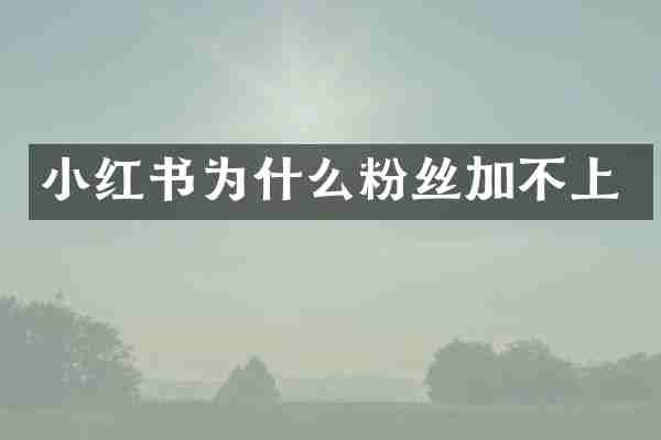 小红书为什么粉丝加不上