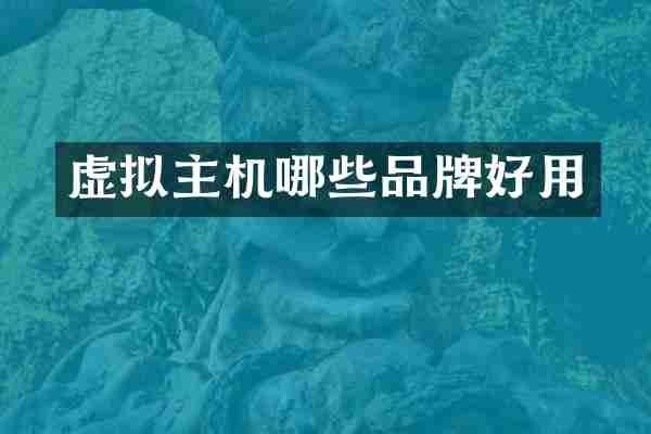 虚拟主机哪些品牌好用