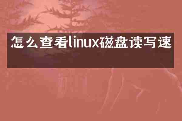 怎么查看linux磁盘读写速率
