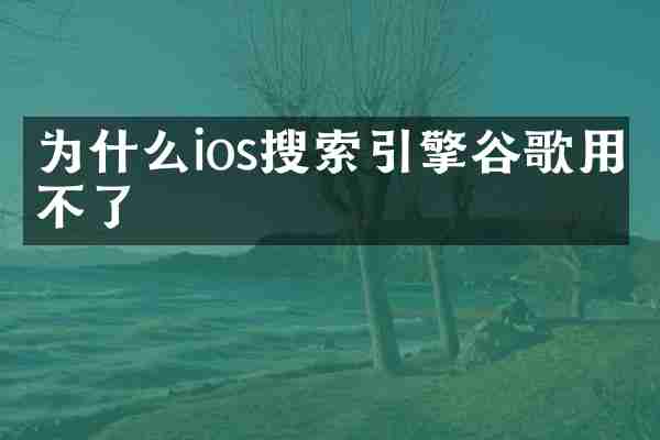 为什么ios搜索引擎谷歌用不了