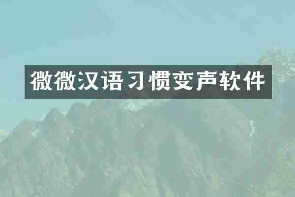 微微汉语习惯变声软件
