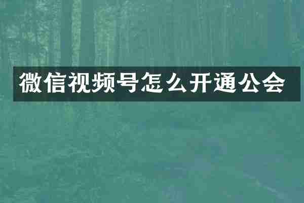 微信视频号怎么开通公会
