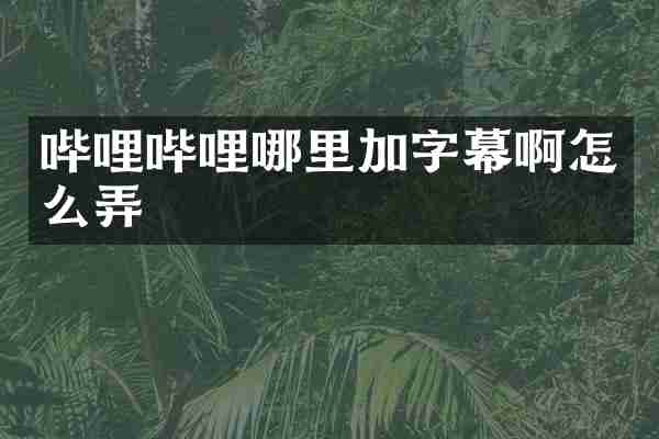 哔哩哔哩哪里加字幕啊怎么弄