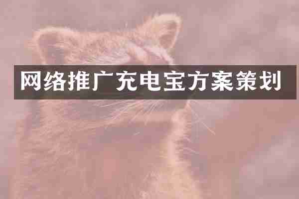 网络推广充电宝方案策划