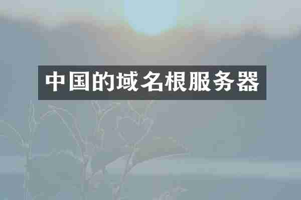 中国的域名根服务器