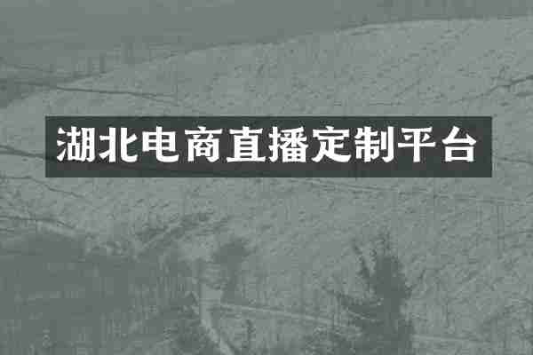 湖北电商直播定制平台