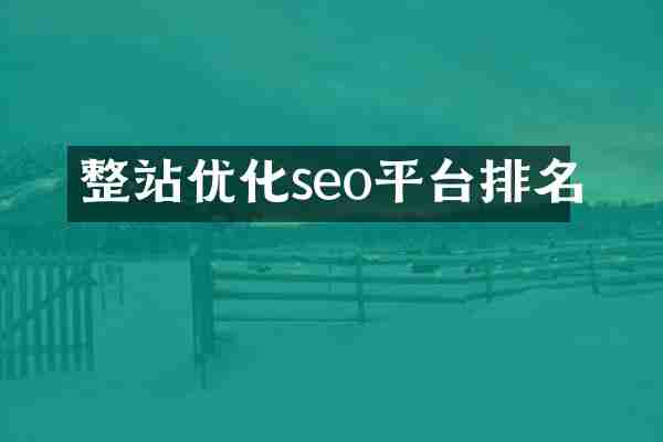 整站优化seo平台排名