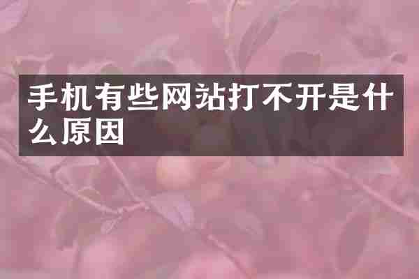 手机有些网站打不开是什么原因