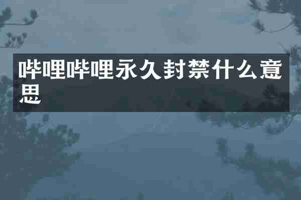 哔哩哔哩永久封禁什么意思