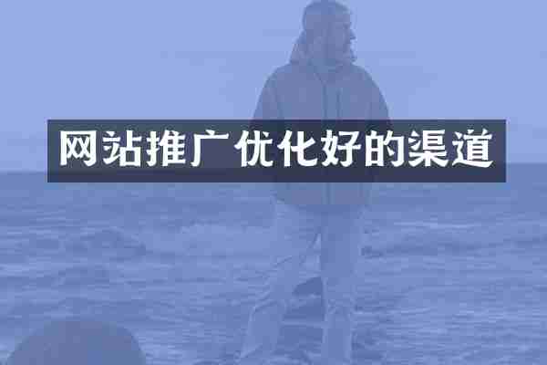 网站推广优化好的渠道