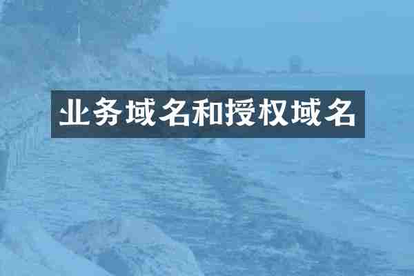业务域名和授权域名