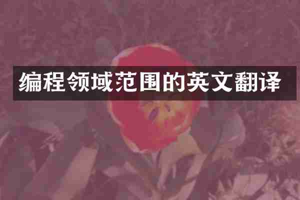 编程领域范围的英文翻译