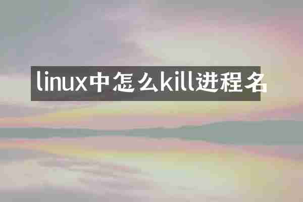 linux中怎么kill进程名