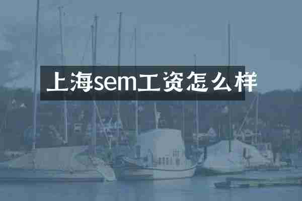 上海sem工资怎么样