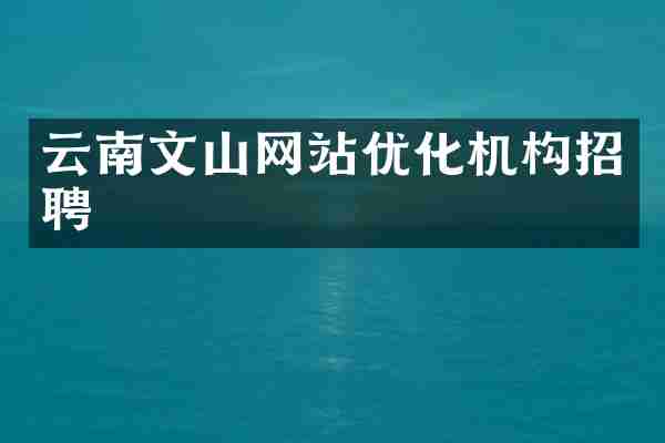 云南文山网站优化机构招聘