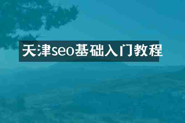 天津seo基础入门教程