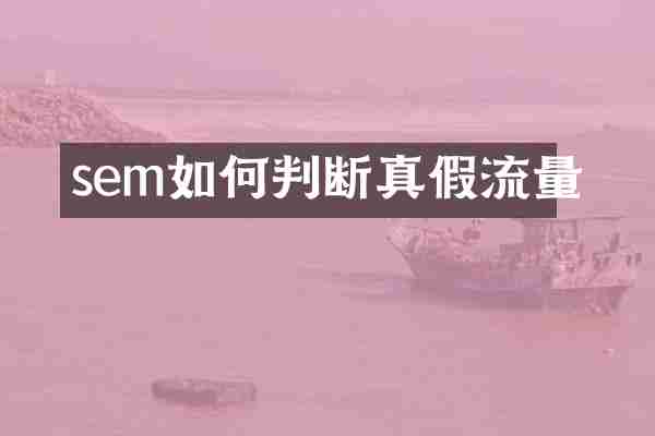 sem如何判断真假流量