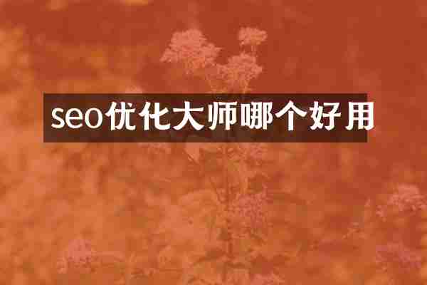 seo优化大师哪个好用