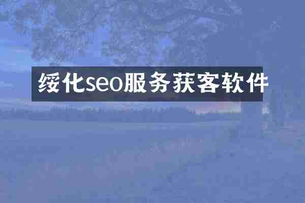 绥化seo服务获客软件