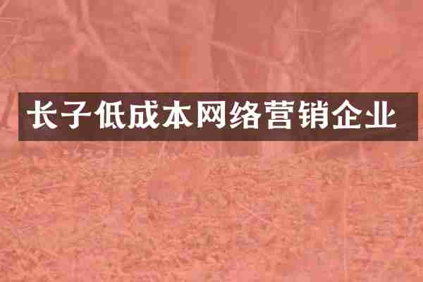 长子低成本网络营销企业